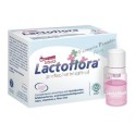 Lactoflora Protector Intestinal Infantil