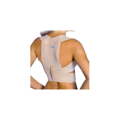 Espaldillera Primspine...