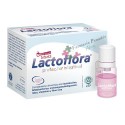 Lactoflora Protector Intestinal Infantil 10 dosis
