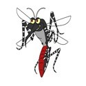 Mosquitos, alivio y repelentes